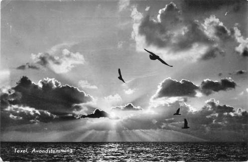 (377-430-027) Texel Avondstemming, Verzamelen, Ansichtkaarten | Nederland, Noord-Holland, Verzenden