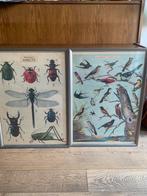 Twee posters inclusief lijst, Verzamelen, Posters, Rechthoekig Staand, Met lijst, Ophalen of Verzenden, Zo goed als nieuw