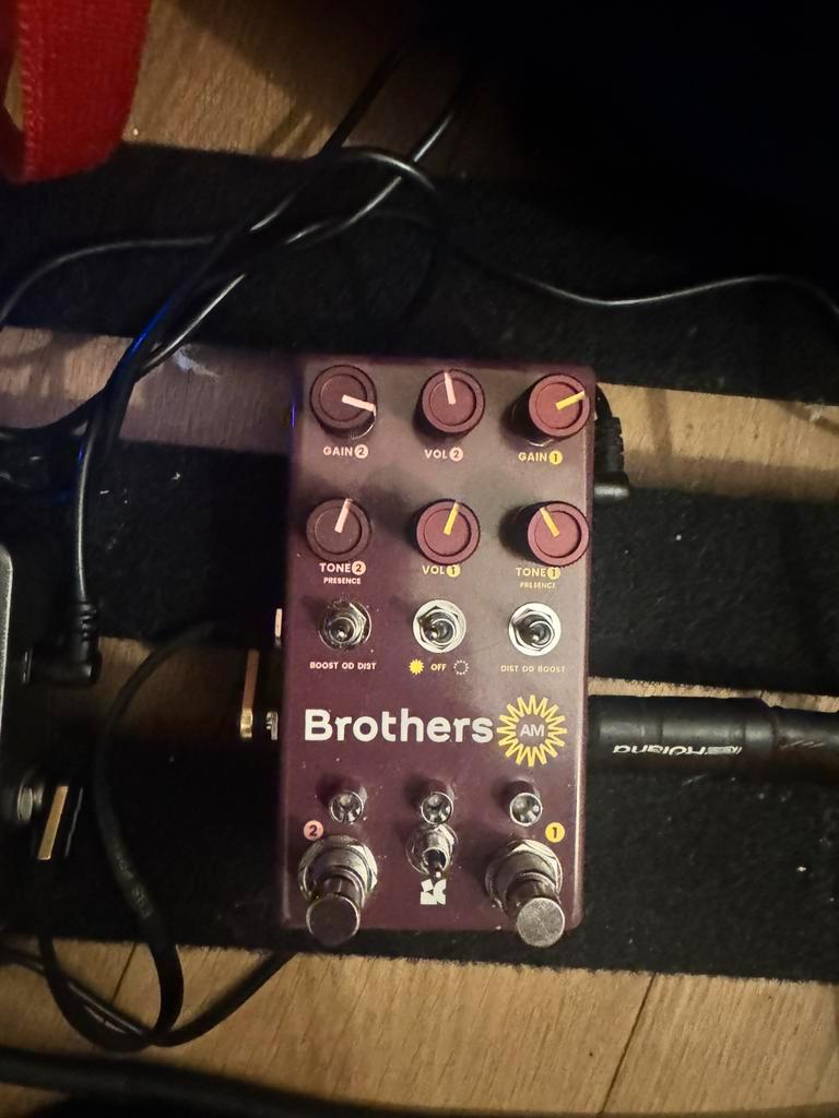 ≥ Chase Bliss Audio Brothers AM — Effecten — Marktplaats