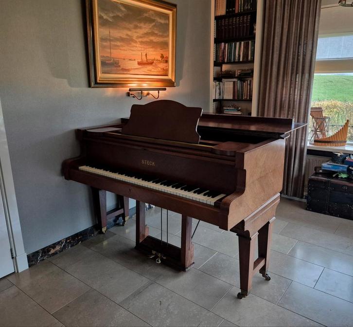 STECK vleugel, Muziek en Instrumenten, Piano's, Gebruikt, Vleugel, Bruin, Ophalen