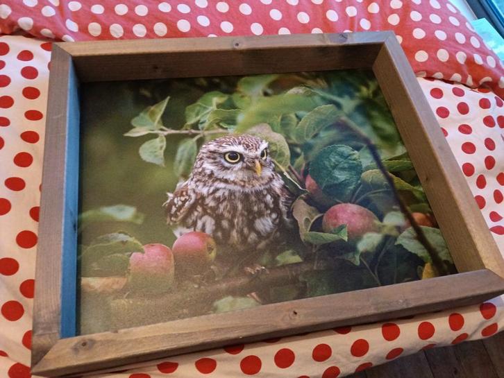 Feedy vogelvoederlijst vogelhuisje vogels voeren nieuw, Tuin en Terras, Vogelhuisjes en Vogelbaden, Nieuw, Ophalen of Verzenden