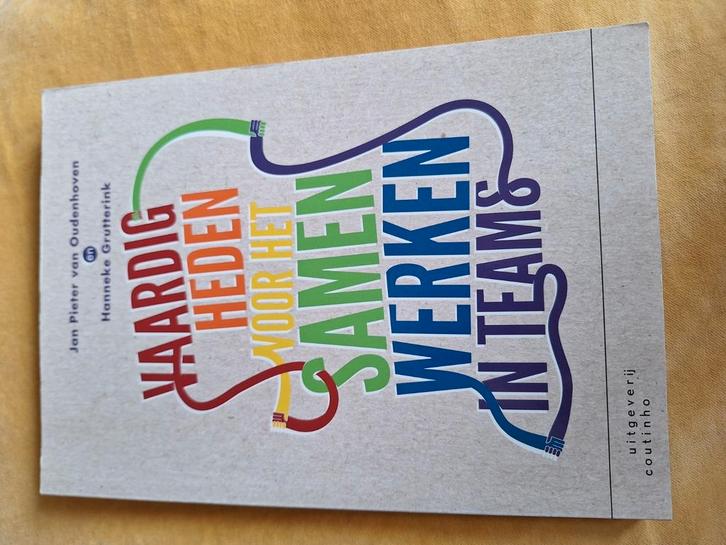 Vaardigheden voor het samenwerken in teams, Boeken, Wetenschap, Zo goed als nieuw, Sociale wetenschap, Ophalen of Verzenden