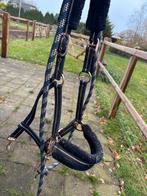 Simpel halster, Dieren en Toebehoren, Paarden en Pony's | Hoofdstellen en Tuigage, Ophalen, Gebruikt, Overige soorten