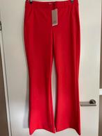 Studio Anneloes broek, Kleding | Dames, Broeken en Pantalons, Studio Anneloes, Maat 46/48 (XL) of groter, Nieuw, Ophalen of Verzenden