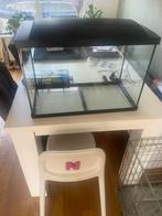 Aquarium 60/40/30 superfish, Dieren en Toebehoren, Vissen | Aquaria en Toebehoren, Ophalen, Gebruikt, Leeg aquarium