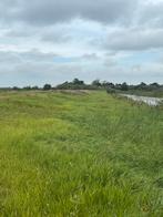 Gras op stam, Ophalen, Vee