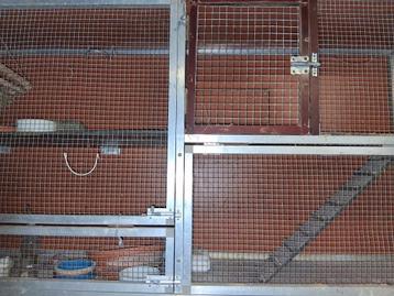 TK Chinchilla knaagdieren kooi beschikbaar voor biedingen