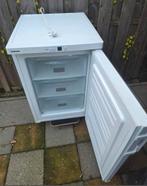 Compacte Liebherr Vrieskast - Uitstekende Staat!, Witgoed en Apparatuur, Vriezers en Diepvrieskisten, Minder dan 85 cm, Minder dan 60 cm