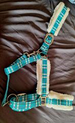 Halsters maat full, Dieren en Toebehoren, Paarden en Pony's | Overige Paardenspullen, Ophalen, Zo goed als nieuw, Overige soorten