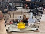 Hamsterkooi, Kooi, Gebruikt, Minder dan 75 cm, Hamster