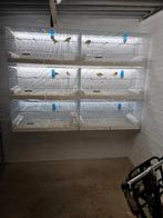 Broedkooien, Dieren en Toebehoren, Vogels | Hokken en Kooien, Ophalen, Zo goed als nieuw, Metaal, Broedkooi of Kweekkooi