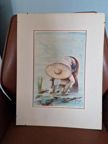 Jules Logher Aquarel - Rijstveld, 1976 beschikbaar voor biedingen