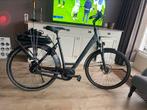 Pegasus Elektrische Fiets Met Shimano Middenmotor, Fietsen en Brommers, Elektrische fietsen, Overige merken, Ophalen of Verzenden