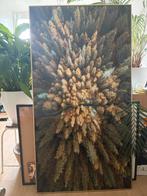 COCO MAISON Glas/Fotoschilderij Boslandschap, Ophalen of Verzenden, Zo goed als nieuw, 75 tot 100 cm, Foto of Poster