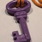 GEZOCHT! kruikenstad sleutel, Ophalen of Verzenden, Zo goed als nieuw, Carnaval