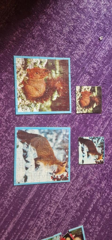 Noorder dierenpark Emmen 90 jaar, Verzamelen, Dierenverzamelingen, Gebruikt, Beeldje of Figuurtje, Ophalen of Verzenden