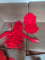 pakje kind 3 a 3,5 jaar of 4 kreeft krab carnaval, Mannelijk, Papegaai