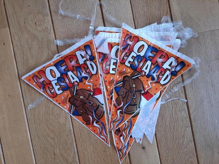 HOERA GESLAAGD vlaggenlijn, Hobby en Vrije tijd, Feestartikelen, Nieuw, Versiering, Overige, Ophalen of Verzenden