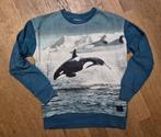 Molo Sweater Maat 128, Kinderen en Baby's, Kinderkleding | Maat 128, Molo, Trui of Vest, Ophalen of Verzenden, Zo goed als nieuw