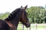 manen spiralen set, Dieren en Toebehoren, Paarden en Pony's | Overige Paardenspullen, Nieuw, Verzenden