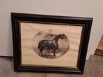 schilderij paard Nestor, Antiek en Kunst, Kunst | Schilderijen | Klassiek, Ophalen