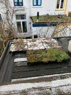 Acht sedum casettes, Ophalen, Overige materialen, Minder dan 4 cm, Minder dan 5 m²