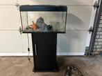 Aquarium, Ophalen of Verzenden, Gebruikt, Leeg aquarium