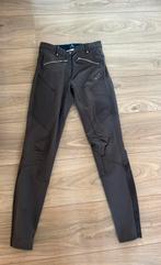 Rijbroek ELT maat 36, Dieren en Toebehoren, Gebruikt, Dressuur, Dames, Onderkleding