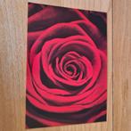kinderpostzegels ansichtkaarten 1202A-F Bloemen, Verzamelen, Verzenden, Ongelopen