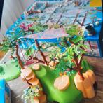 Playmobil Fairies grote weide feeën tuin 9132 +doos,boek, Ophalen of Verzenden, Zo goed als nieuw