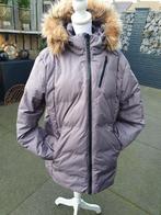 Gaastra winterjas, Kleding | Dames, Jassen | Winter, Ophalen of Verzenden, Zo goed als nieuw, Maat 46/48 (XL) of groter, Bruin