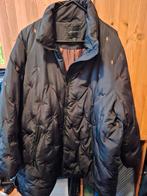 Brandtex winterjas bruin maat 52 zgan, Kleding | Dames, Grote Maten, Ophalen of Verzenden, Zo goed als nieuw, Zwart, Jas of Mantel