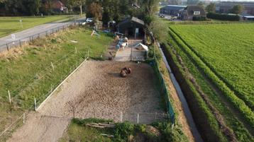 Plekjes vrij voor Pony's op mini pp in Oudemolen beschikbaar voor biedingen