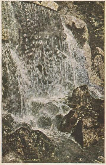 04298 - Arnhem - Waterval Sonsbeek - gel. 1946 beschikbaar voor biedingen