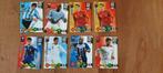 2010 FIFA World Cup South Africa XL Adrenalyn cards, Ophalen of Verzenden, Zo goed als nieuw, Buitenlandse clubs, Poster, Plaatje of Sticker