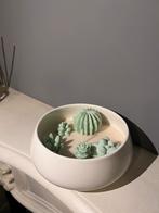 Kaars met vetplanten en cactus decoratie, Overige materialen, Wit, Nieuw, Ophalen of Verzenden