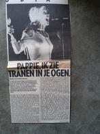 Blondie: konsert De Vereenging Nijmegen  1078, Ophalen of Verzenden, Boek, Tijdschrift of Artikel