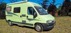 Zeer nette posll bus ! Vastbed nieuwe apk!, Volkswagen, Bedrijf, Diesel, 5 tot 6 meter
