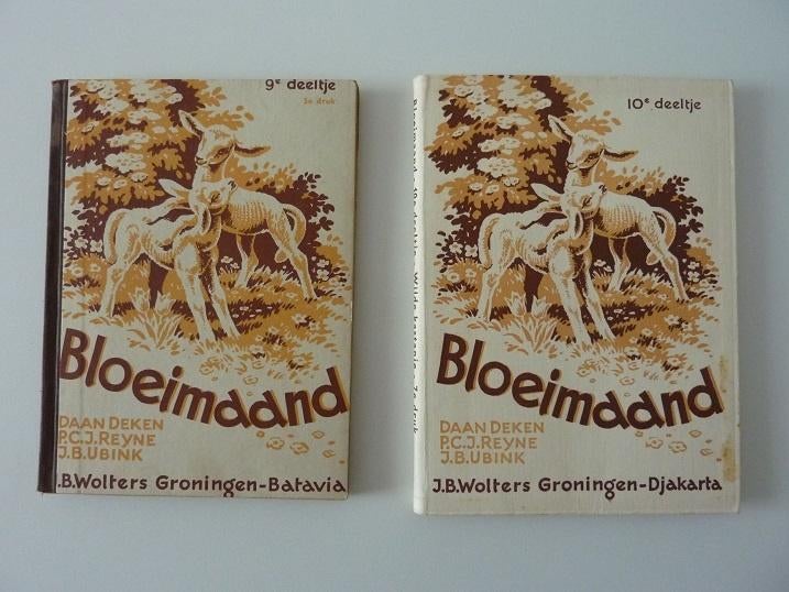 BLOEIMAAND Volksschool boekjes deel 9 en 10 2 vintange, Ophalen