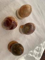 Stenen eieren, Ophalen