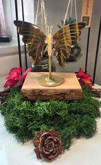 Tijgeroog Edelsteen Vlinder Set met Standaard, Ophalen of Verzenden, Nieuw