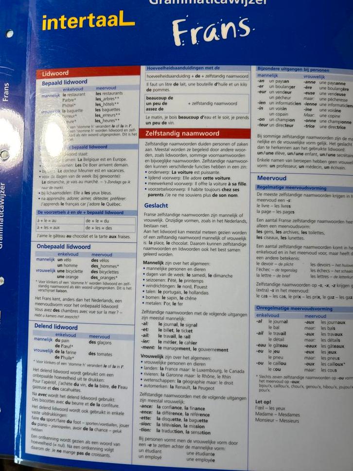 Grammaticawijzer Frans - Handig Naslagwerk, Boeken, Studieboeken en Cursussen, Zo goed als nieuw, Niet van toepassing, Gamma, Ophalen of Verzenden