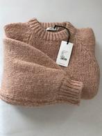 Trui Sissy Boy nieuw XS, Kleding | Dames, Ophalen of Verzenden, Zo goed als nieuw, Sissy Boy, Maat 34 (XS) of kleiner