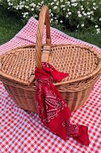 Picknickmand, handwermand, rieten mand, opbergen,verzamelen, Ophalen, Zo goed als nieuw