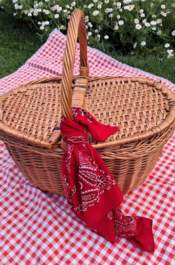 Picknickmand, handwermand, rieten mand, opbergen,verzamelen beschikbaar voor biedingen