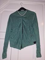 Anna van toor vest, Maat 38/40 (M), Anna van Toor, Ophalen of Verzenden, Gedragen