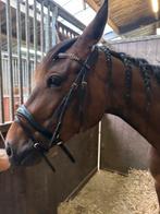 Hoofdstel Premieré Rose Goud, Ophalen of Verzenden, Zo goed als nieuw