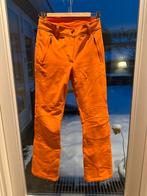 Icepeak Skibroek Dames Oranje Maat 34, Kleding | Dames, Wintersportkleding, Broek, Icepeak, Ophalen of Verzenden, Maat 34 (XS) of kleiner