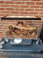 2 terrraria gebruikt voor pissebedden, Dieren en Toebehoren, Insecten en Spinnen