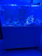 Red sea reefer 350 wit, Dieren en Toebehoren, Vissen | Aquaria en Toebehoren, Ophalen, Zo goed als nieuw, Gevuld zeewateraquarium